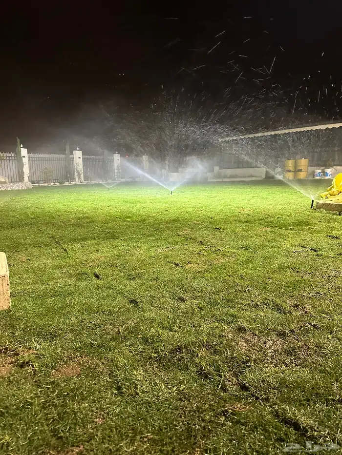 عشب طبيعي C2000 أمريكي (إنجيلة) 9