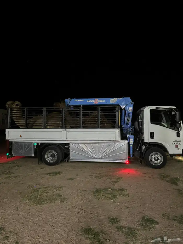 دينا ونش دينه ونش كرين هدروليك 1