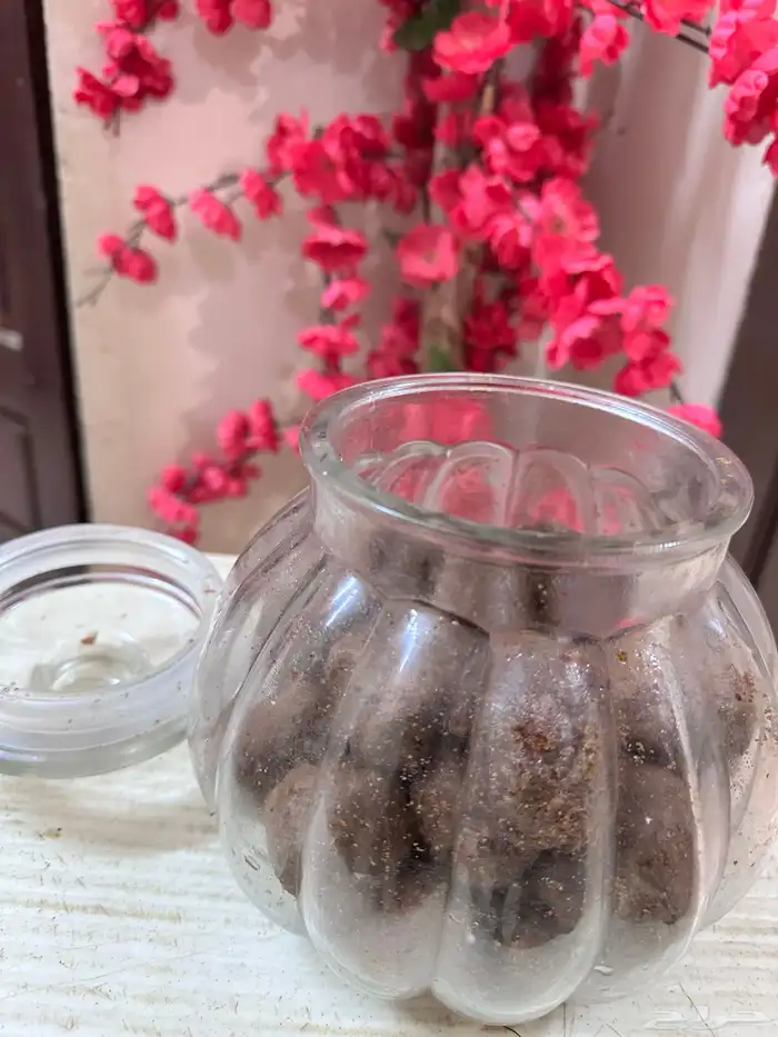 دلكة سودانية -اسكربات-بدرة الشيبييي 8