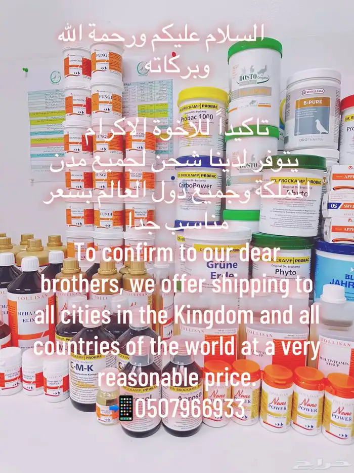 حمام زاجل زينة طيور 4
