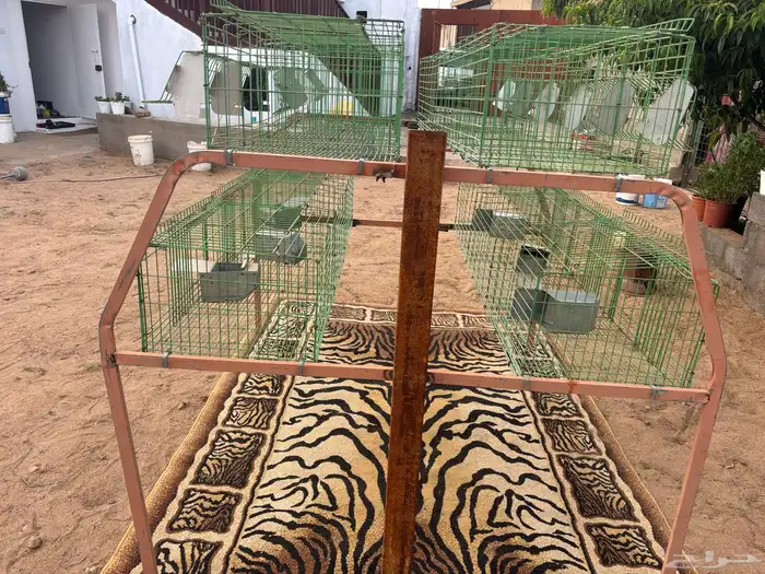 بطارية أرانب 3