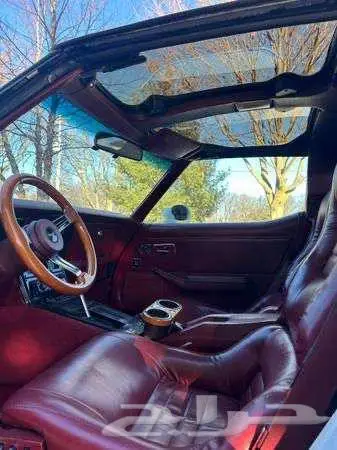 للبيع ثاندربيرد موديل 1981 Ford Thunderbird اعلان 4088 5
