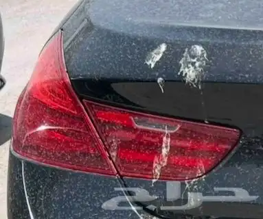 صدام خلفي واسطبات وشنطه bmw الفئة السادسة 650 4