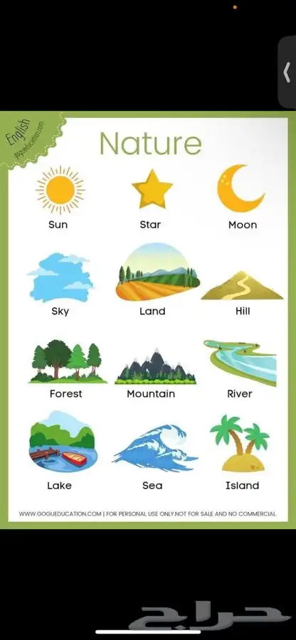 معلمه انجليزي 0