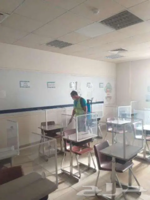 شركة مكافحة حشرات مكافحة نمل ابيض رش دفان 2