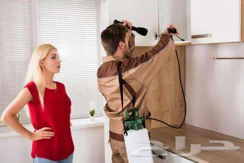 شركة مكافحة حشرات مكافحة نمل ابيض رش دفان 6