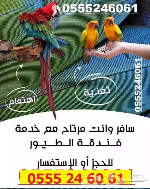 فندقة طيور وقطط 6061 24 0555 شاهد التقييمات 0