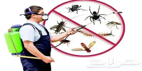 شركة مكافحة حشرات مكافحة نمل ابيض رش دفان 11