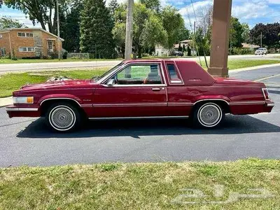للبيع ثاندربيرد موديل 1981 Ford Thunderbird اعلان 4088 12