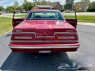 للبيع ثاندربيرد موديل 1981 Ford Thunderbird اعلان 4088 10