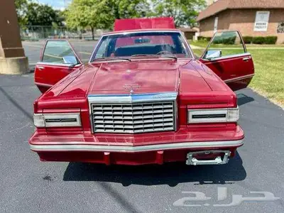 للبيع ثاندربيرد موديل 1981 Ford Thunderbird اعلان 4088 11
