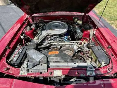 للبيع ثاندربيرد موديل 1981 Ford Thunderbird اعلان 4088 18