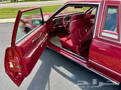 للبيع ثاندربيرد موديل 1981 Ford Thunderbird اعلان 4088 15