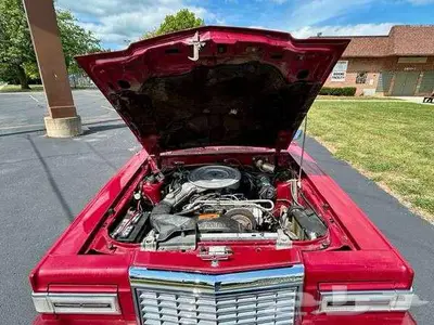 للبيع ثاندربيرد موديل 1981 Ford Thunderbird اعلان 4088 17