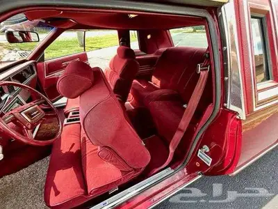 للبيع ثاندربيرد موديل 1981 Ford Thunderbird اعلان 4088 14