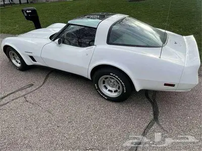 للبيع ثاندربيرد موديل 1981 Ford Thunderbird اعلان 4088 1