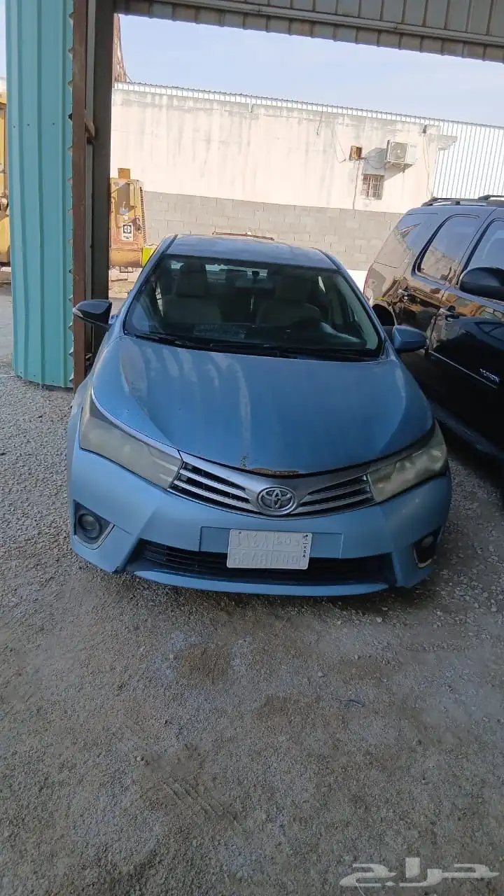 كورلا 2015 الممشى 280 0