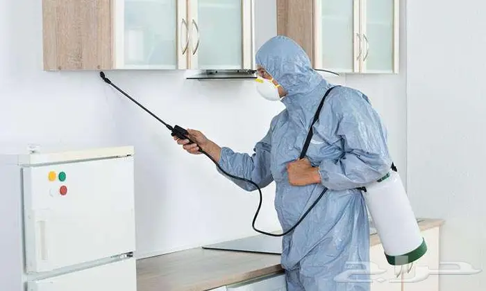 شركة مكافحة حشرات مكافحة نمل ابيض رش دفان 3