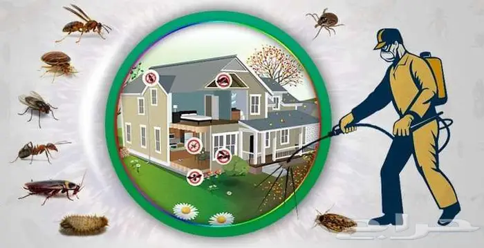 شركة مكافحة حشرات مكافحة نمل ابيض رش دفان 1