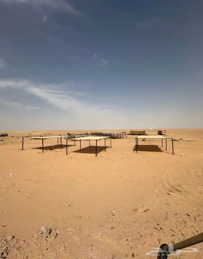 مضلة الابل 5
