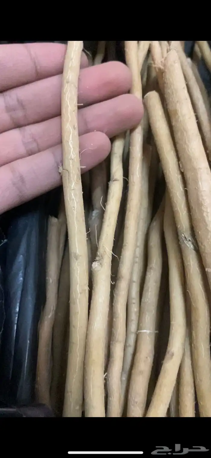ربط مساويك 2