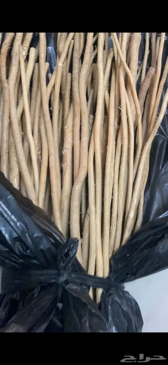 ربط مساويك 1