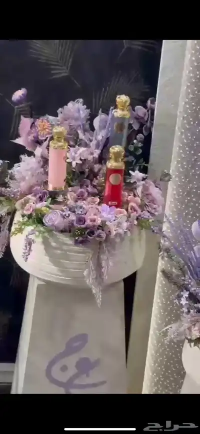 عربيه ملكه بتصميم جديد للايجار 1