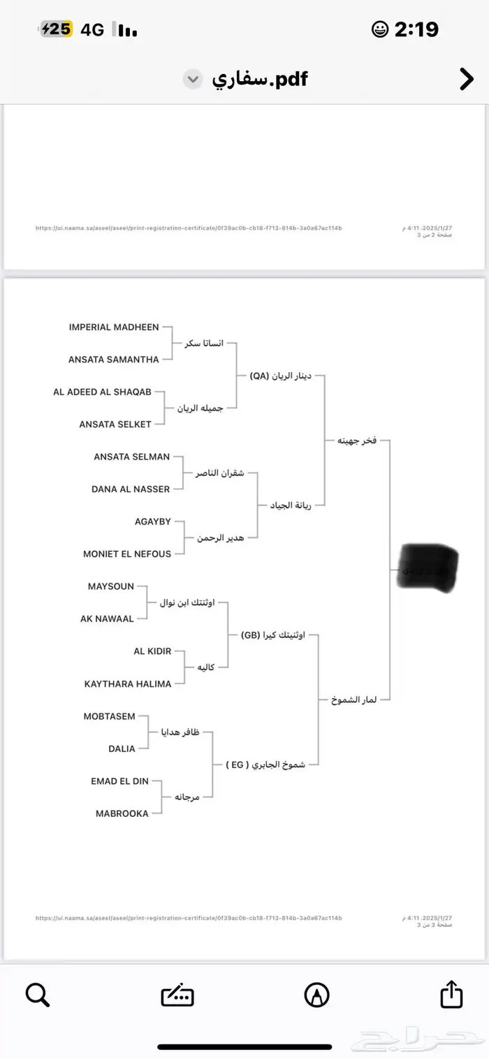 مهرة واهو مصريه بيور 6