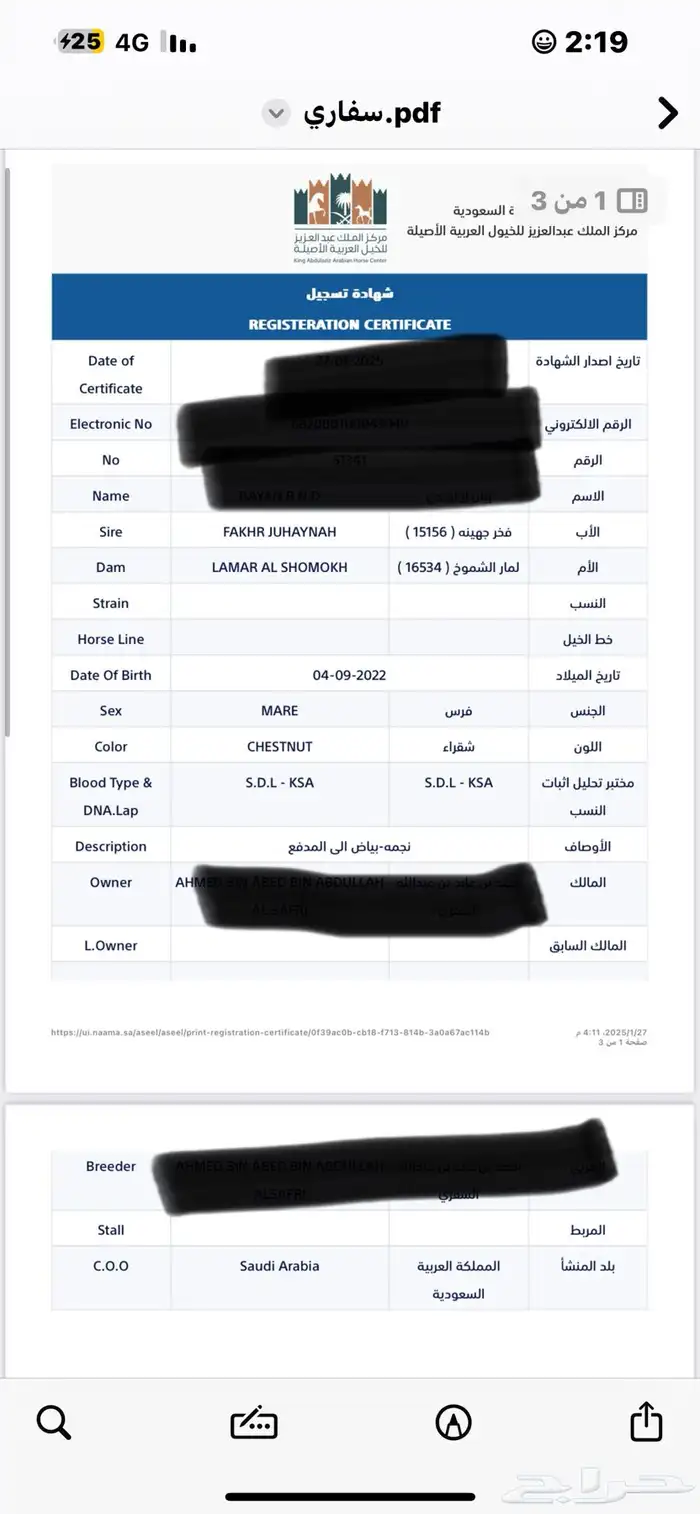 مهرة واهو مصريه بيور 5