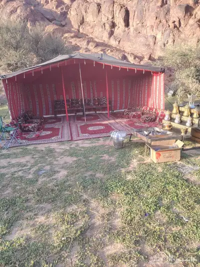 سيارة رحلات برية 3