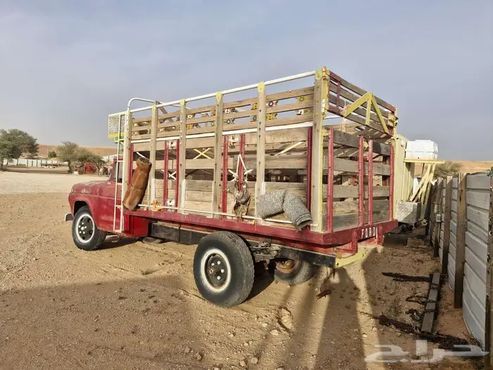 للبيع او للإيجار فورد موديل 59 يصلح للعرض 3