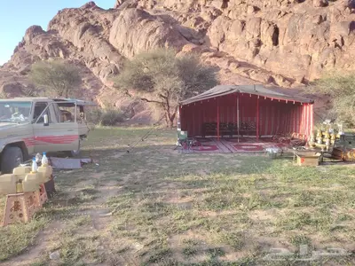 سيارة رحلات برية 4