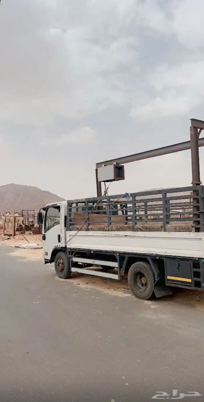 دينه ونش كهرب تحميل ابل وغنم داخل نجران وخارج 0