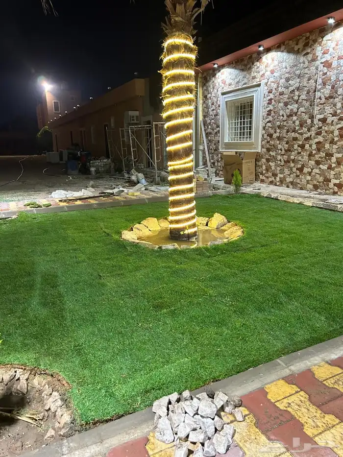 عشب طبيعي C2000 أمريكي (إنجيلة) 8