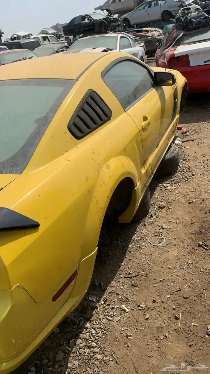 موستنج 2