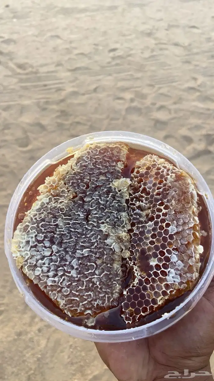 عسل سمره تهامه 1