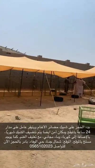 شبوك للايجار 0