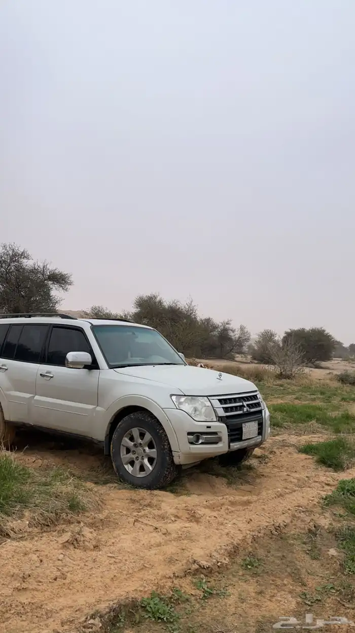 باجيرو 2015 30