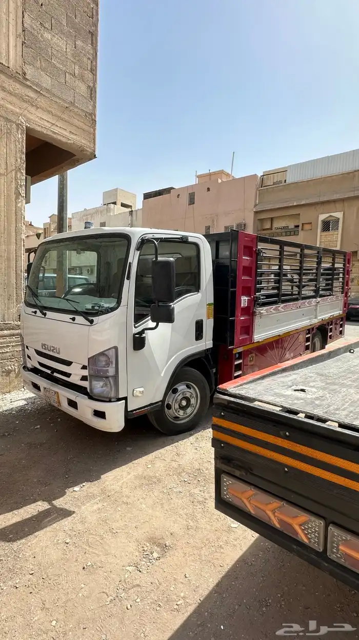 دينا للإيجار 2023 0
