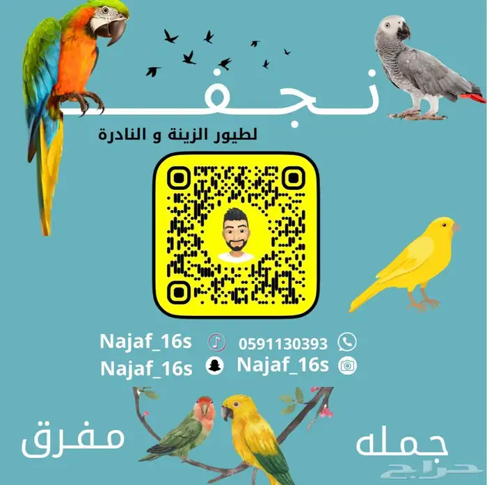فرخ ميني مكاو هانز 1