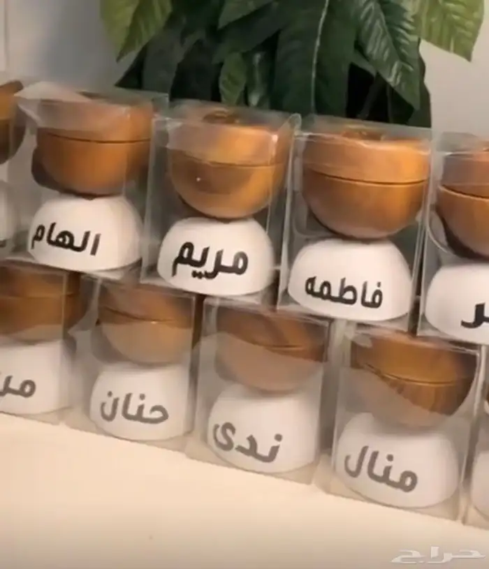 توزيعات تخرج 2025 6