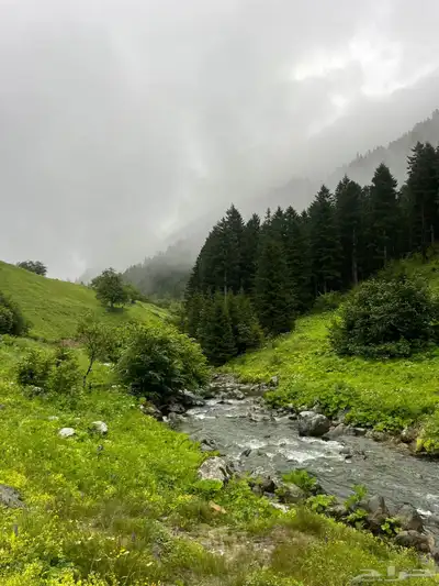 وكالة سياحة 26