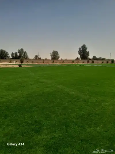 مزرعة تيل بالرياض 2