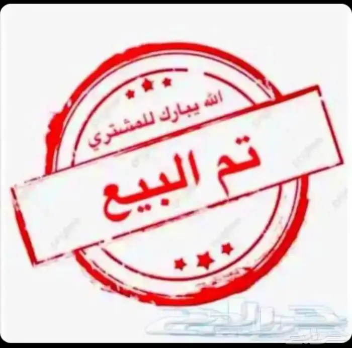 فرخ شامو الماني تم البيع 2
