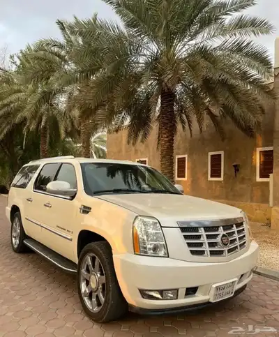 إسكاليد للبيع 0