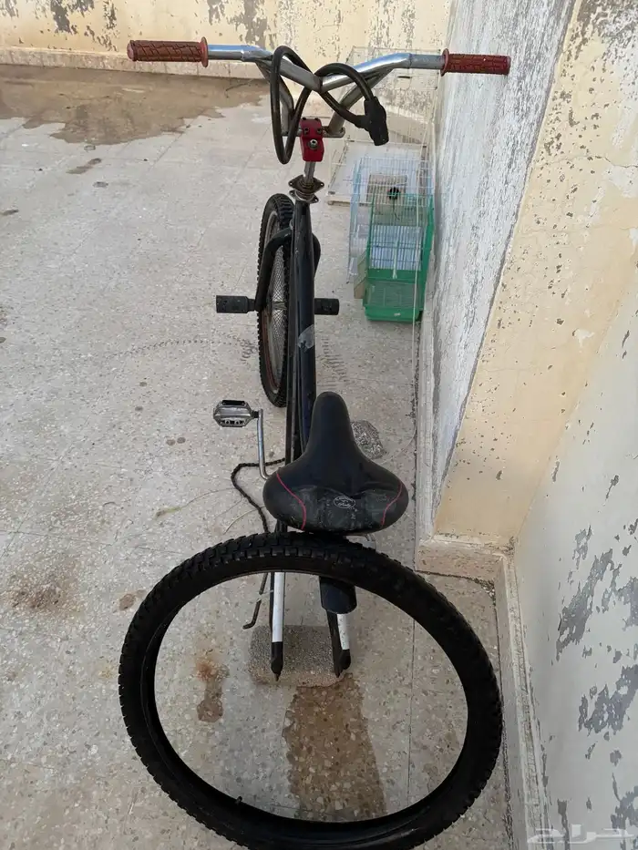 دراجة كوبرا 0