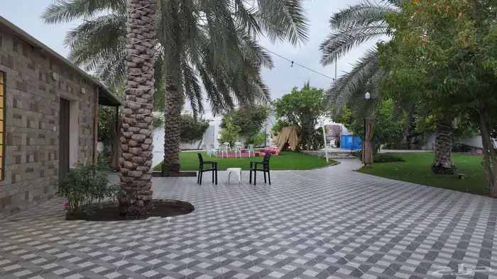 استراحه ومنتجع مبروكه النصيان للإيجار بريده - اللسيب 9