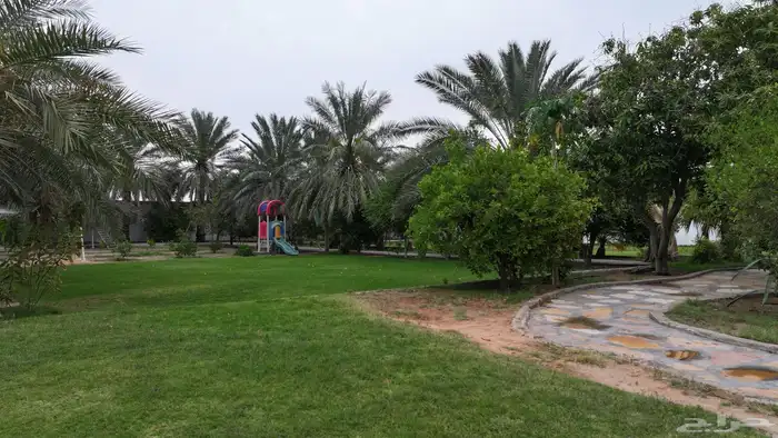 استراحه ومنتجع مبروكه النصيان للإيجار بريده - اللسيب 4
