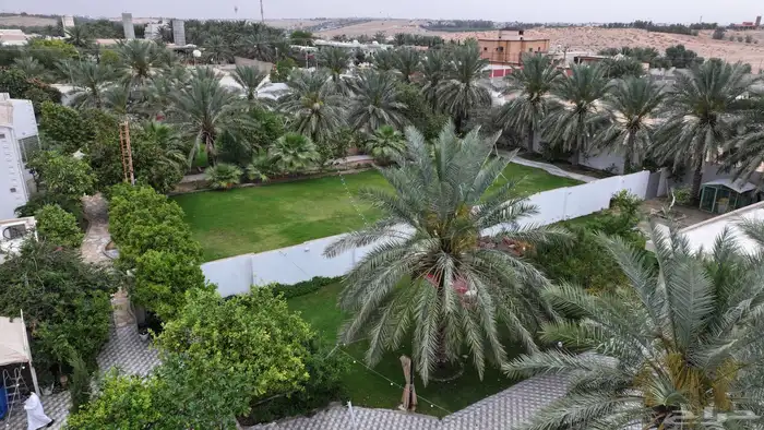 استراحه ومنتجع مبروكه النصيان للإيجار بريده - اللسيب 1