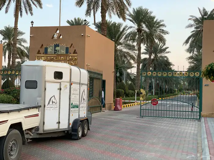 عربة نقل خيل حائل 7